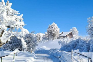 Snowshoeing