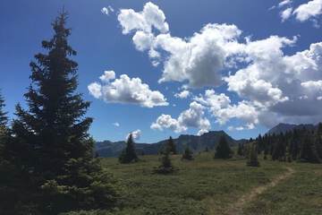 Hiking