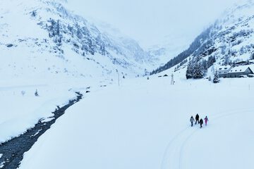 Snowshoeing