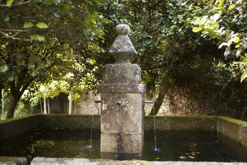 Fountain