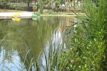 Lake