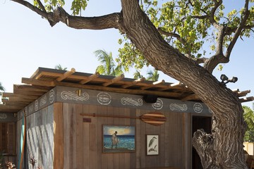 Surfing/boogie boarding