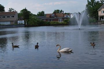 Lake