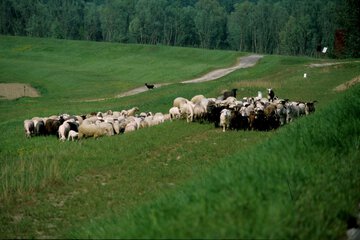 Ecotours