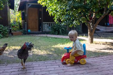 Children's activities