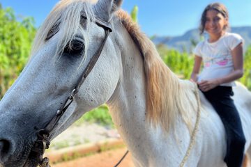 Horseback riding