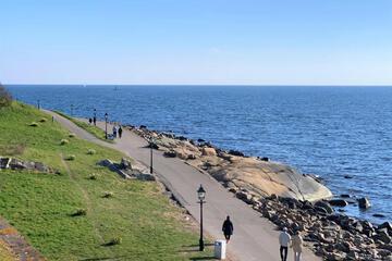 Photo 44