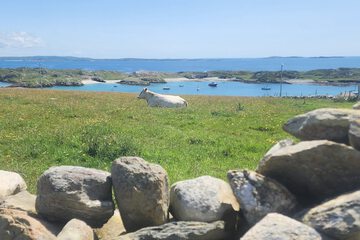 Land view from property