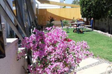 Photo 75