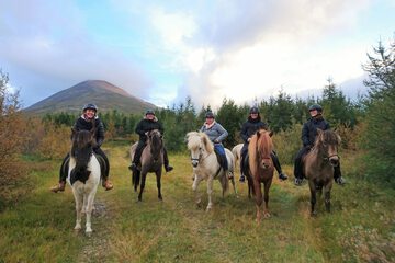 Horseback riding