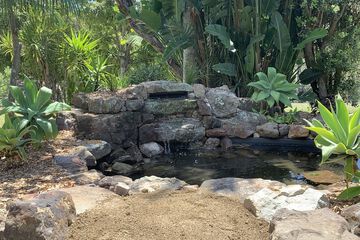 Children's activities