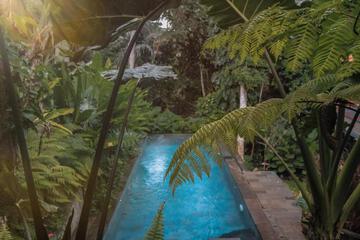 Surrounding environment