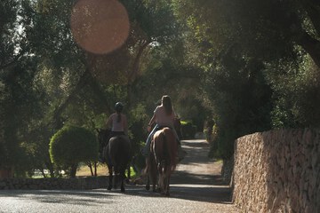 Horseback riding