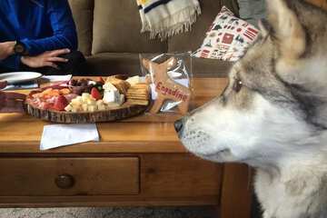 Room service - dining