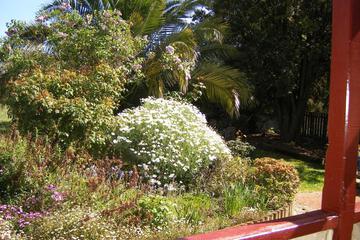 Photo 54