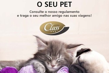 Pet-friendly