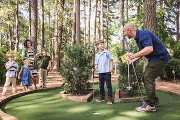 Mini-golf