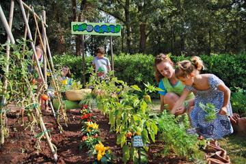 Children's activities