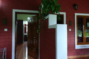 Photo 50