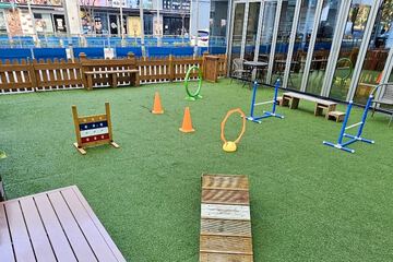 Pet-friendly amenities