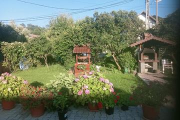 Photo 54