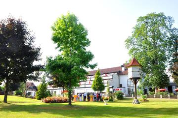 Photo 28