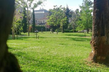 Photo 52