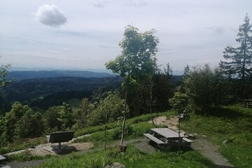 Land view from property