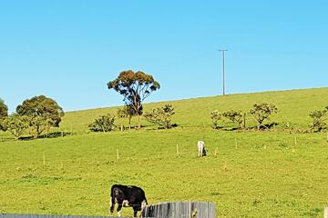 Land view from property