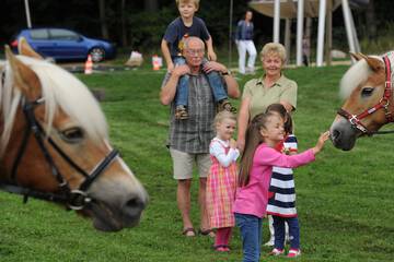 Children's activities