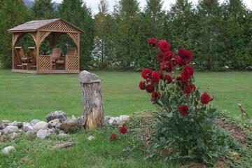 Photo 24
