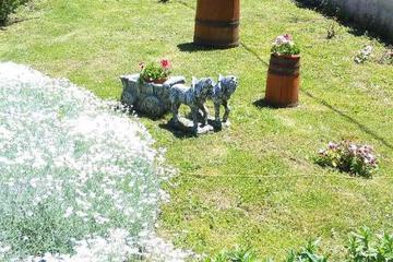 Photo 69
