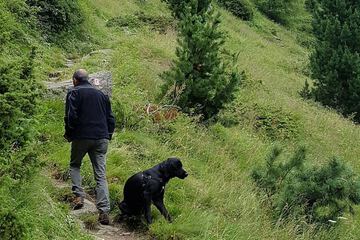 Hiking