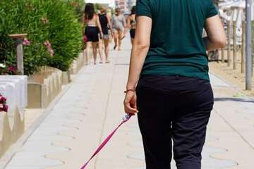 Pet-friendly