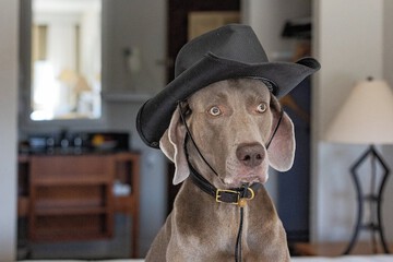 Electric vehicle charging station