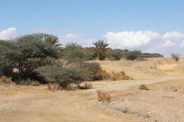 Photo 26