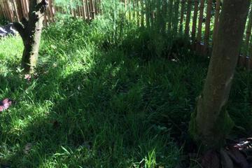 Photo 35