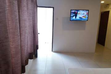 Television