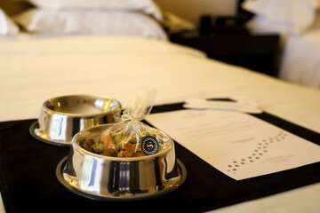 Pet-friendly amenities
