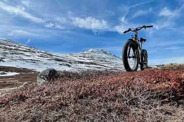 Bicycling