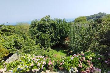 Photo 34