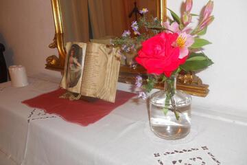 Photo 41