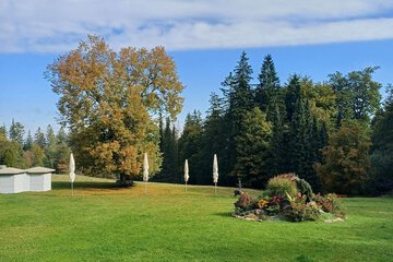 BBQ/picnic area