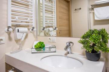 Bathroom sink