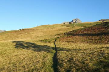 Photo 24