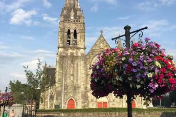 Photo 19