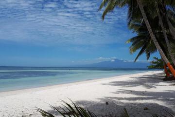 Photo 43