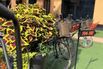 Bicycling