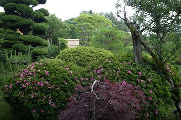 Japanese garden