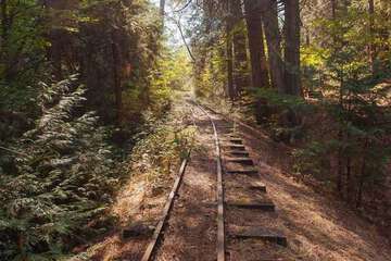 Land view from property
